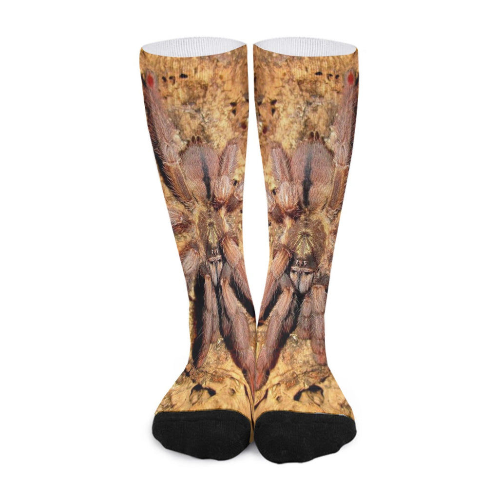 P. Cambridgei Unisex Long Socks