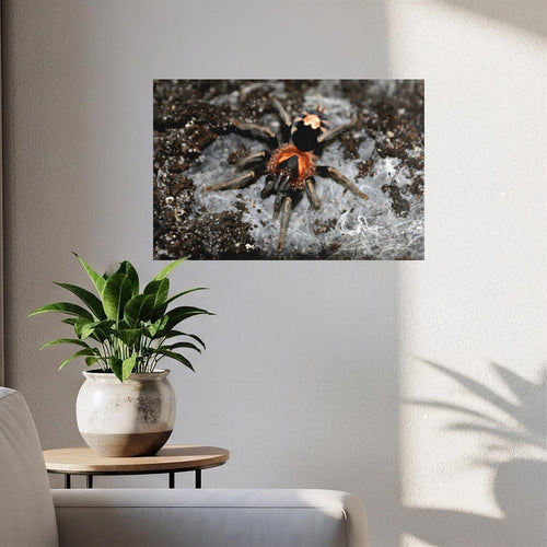 Canvas Without Frame|Horizontal 3:2