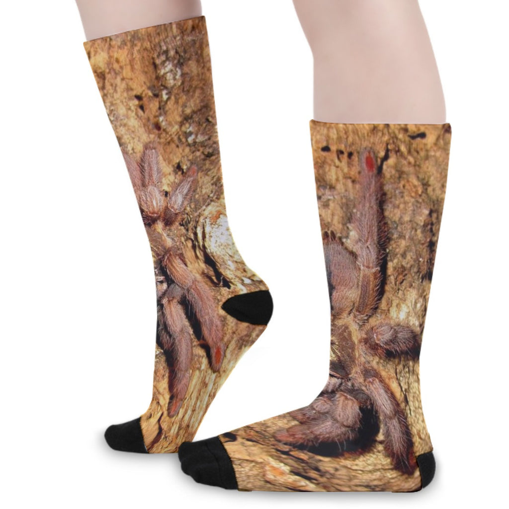 P. Cambridgei Unisex Long Socks