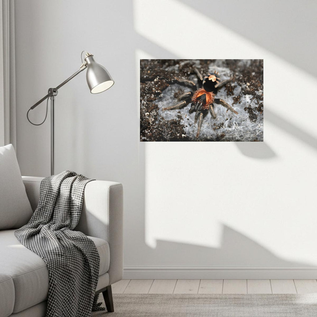 Canvas Without Frame|Horizontal 3:2